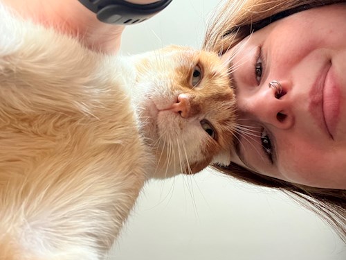 petsitter Cluj-Napoca or Pet nanny for Dogs Cats 