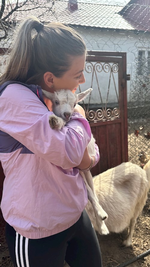 Bejan- petsitter București vagy Állat szitter a kutyák cicák 