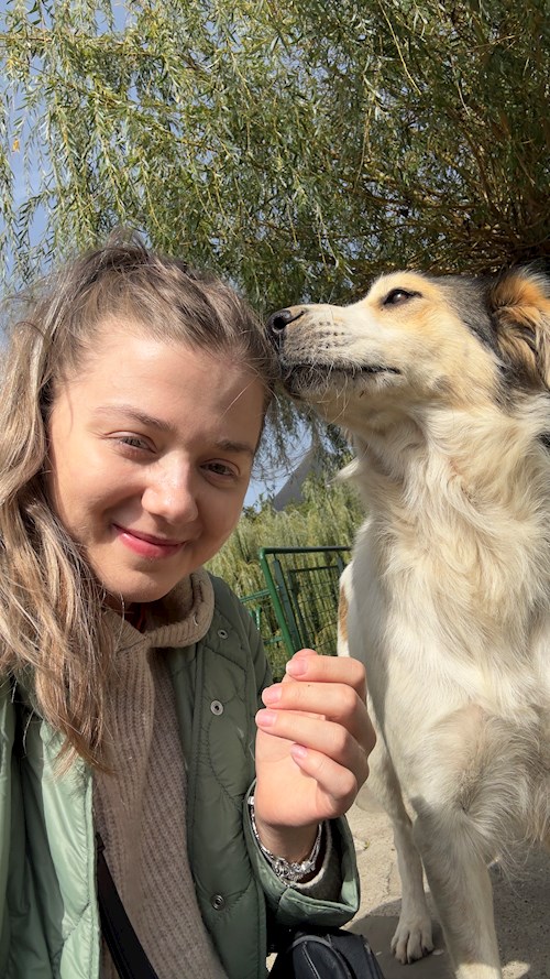 Bejan- petsitter București vagy Állat szitter a kutyák cicák 