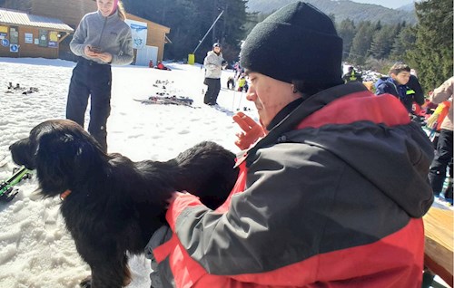 radu- petsitter București sau Bonă pentru animale pentru câini pisici 