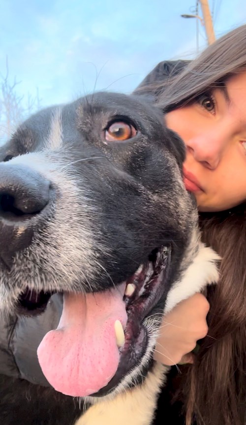 Bianca- petsitter Afumați sau Bonă pentru animale pentru câini pisici 