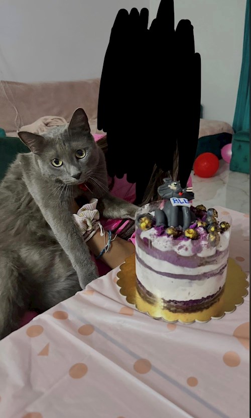 Bianca- petsitter Afumați sau Bonă pentru animale pentru câini pisici 