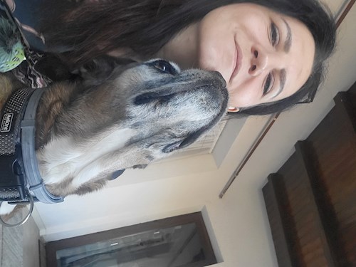 Elena- petsitter București or Pet nanny for dogs cats 