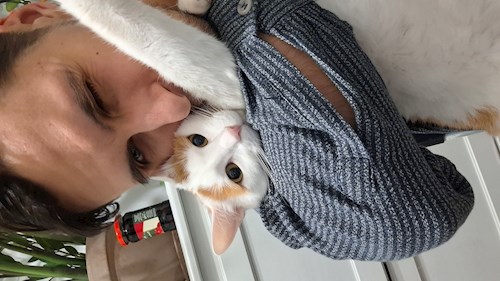 Andrei-Bogdan- petsitter București or Pet nanny for dogs cats 