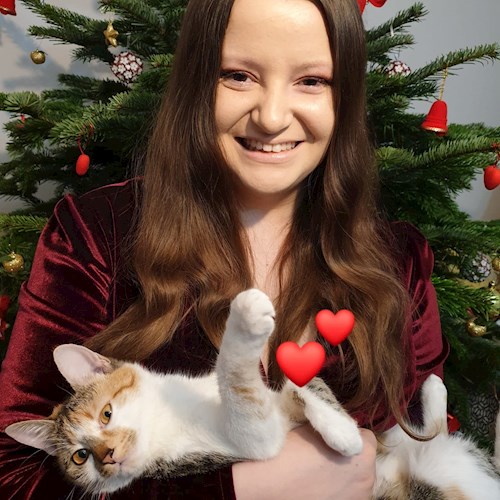Diana- petsitter Cluj-Napoca vagy Állat szitter a cicák 