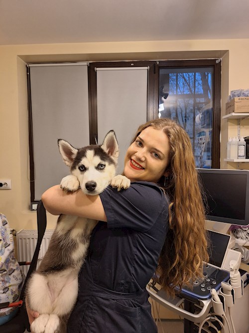 Manea- petsitter București or Pet nanny for dogs cats 