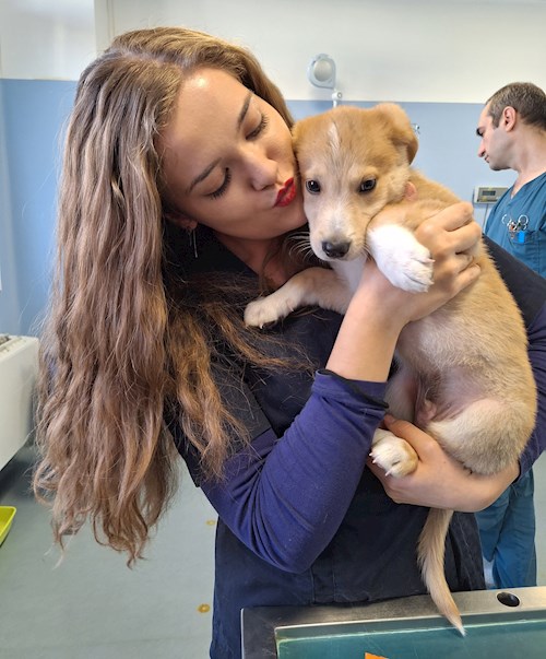 Manea- petsitter București or Pet nanny for dogs cats 