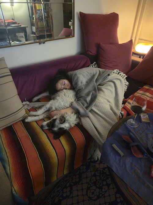petsitter București vagy Állat szitter a Kutyák Cicák 