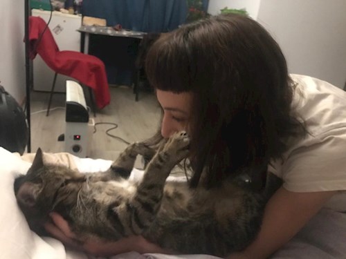 Carina- petsitter București or Pet nanny for dogs cats 