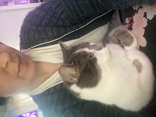 Ana- petsitter Valea Lupului or Pet nanny for dogs cats 