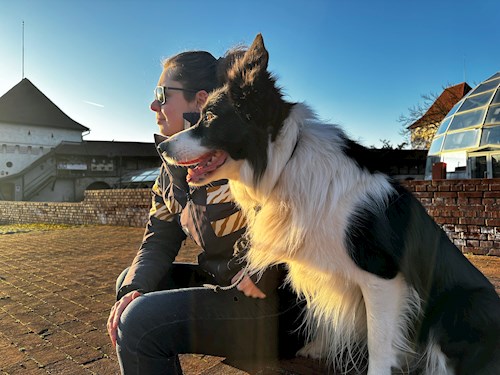 Tünde- petsitter Târgu Mureș or Pet nanny for dogs cats 