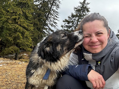 Tünde- petsitter Târgu Mureș or Pet nanny for dogs cats 