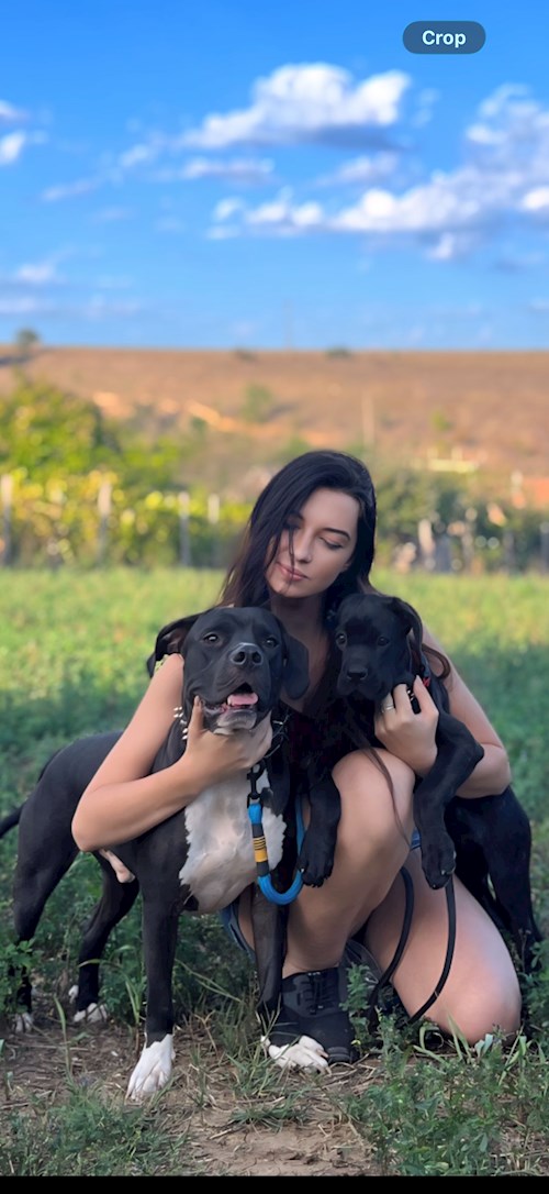 Saraev- petsitter Popești-Leordeni or Pet nanny for dogs cats 