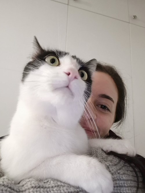 Mariana- petsitter București sau Bonă pentru animale pentru câini pisici 