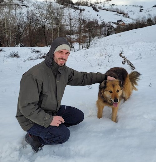 Petroniu- petsitter Cluj-Napoca vagy Állat szitter a kutyák cicák 