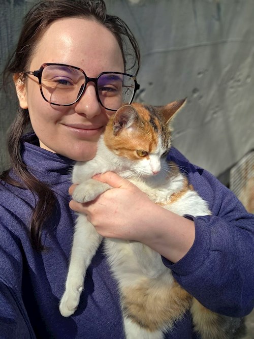 Elena- petsitter Timișoara vagy Állat szitter a kutyák cicák 