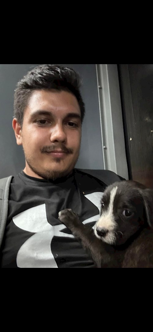 Radu- petsitter București sau Bonă pentru animale pentru câini pisici 