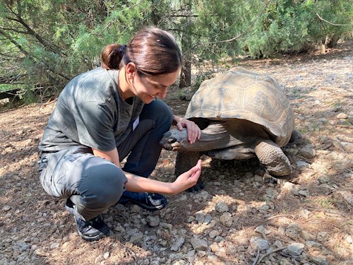 Ioana- petsitter Timișoara sau Bonă pentru animale pentru câini pisici 