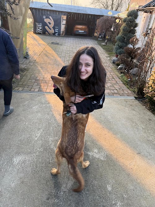 Sandra- petsitter București sau Bonă pentru animale pentru câini 