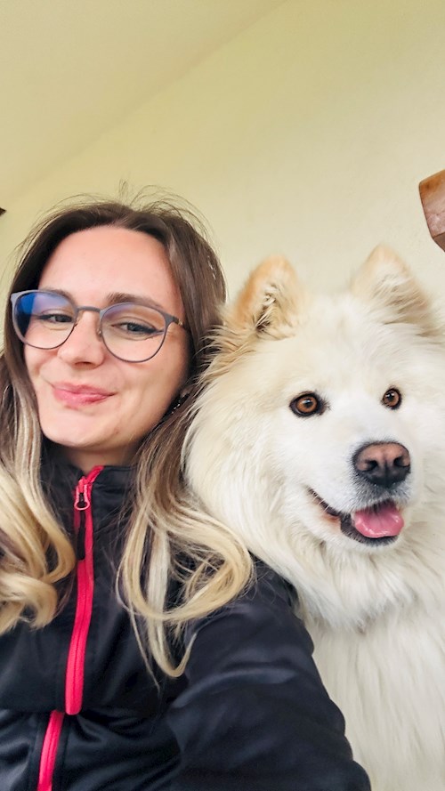 Vaida- petsitter Cluj-Napoca vagy Állat szitter a kutyák cicák 