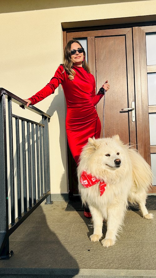 Vaida- petsitter Cluj-Napoca vagy Állat szitter a kutyák cicák 