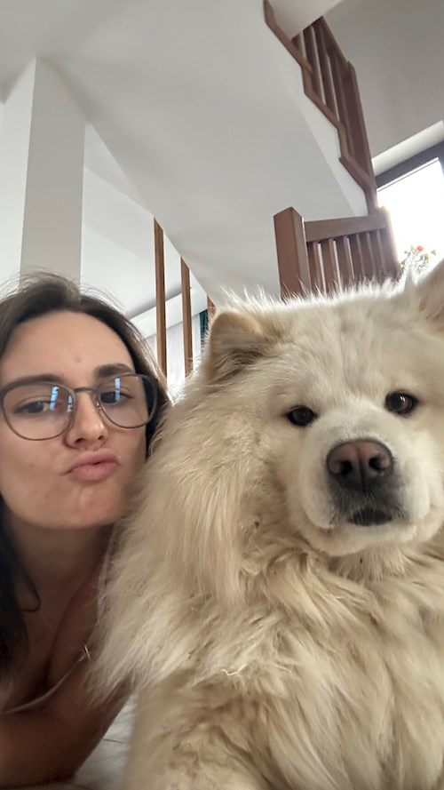 Vaida- petsitter Cluj-Napoca vagy Állat szitter a kutyák cicák 