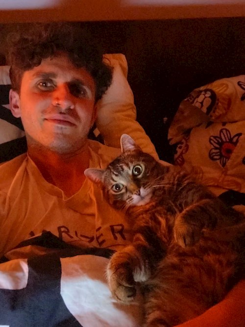 Liviu- petsitter Cluj-Napoca sau Bonă pentru animale pentru câini pisici 