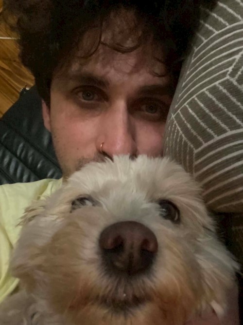 Liviu- petsitter Cluj-Napoca sau Bonă pentru animale pentru câini pisici 