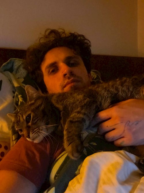 Liviu- petsitter Cluj-Napoca sau Bonă pentru animale pentru câini pisici 