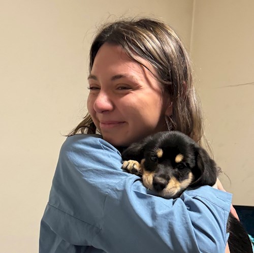 Denisa- petsitter București or Pet nanny for dogs cats 