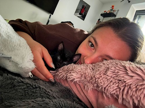 Diana- petsitter Cluj-Napoca sau Bonă pentru animale pentru câini pisici 