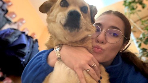 Andreea- petsitter Cluj-Napoca vagy Állat szitter a kutyák cicák 