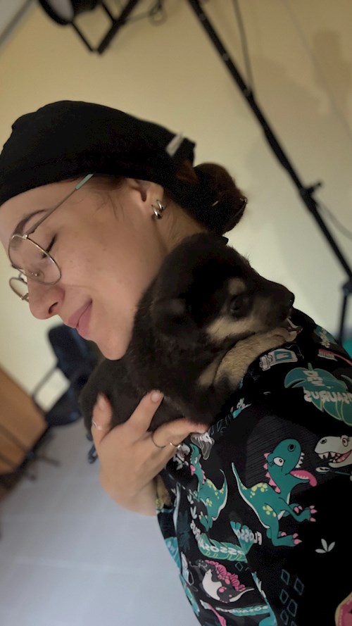 Andreea- petsitter Cluj-Napoca vagy Állat szitter a kutyák cicák 