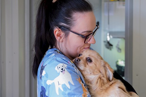 Andreea- petsitter Iași vagy Állat szitter a kutyák cicák 