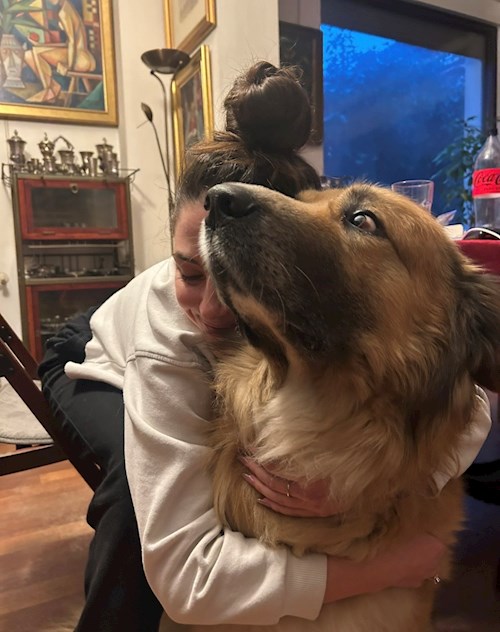 Camelia- petsitter Chiajna or Pet nanny for dogs cats 