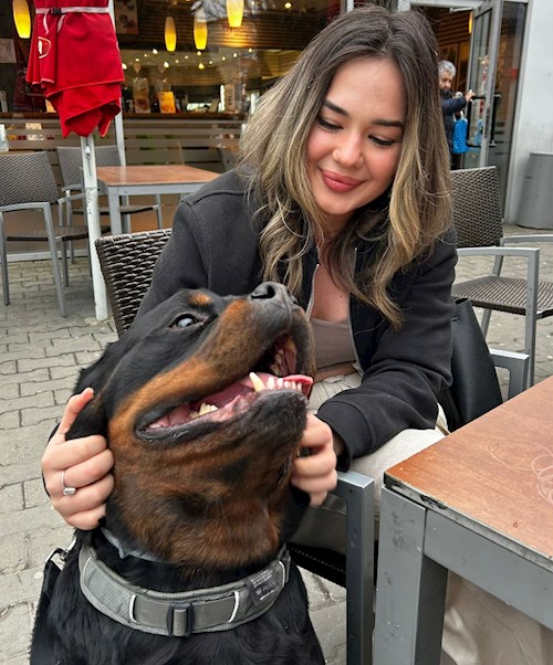 rebeca- petsitter Bragadiru or Pet nanny for 