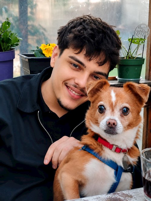 Cristian- petsitter București sau Bonă pentru animale pentru câini pisici 