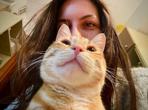 Laura- petsitter București or Pet nanny for cats 