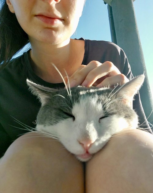 Laura- petsitter București or Pet nanny for cats 
