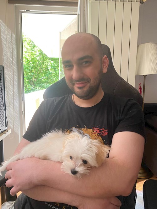 Dan- petsitter București sau Bonă pentru animale pentru câini pisici 