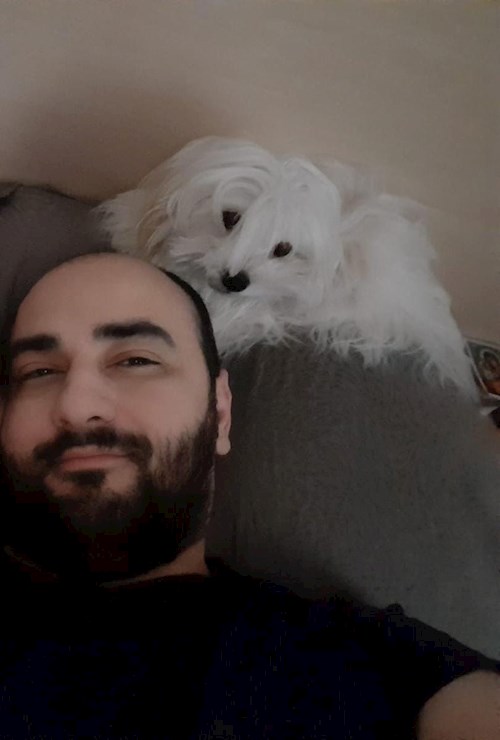 Dan- petsitter București sau Bonă pentru animale pentru câini pisici 