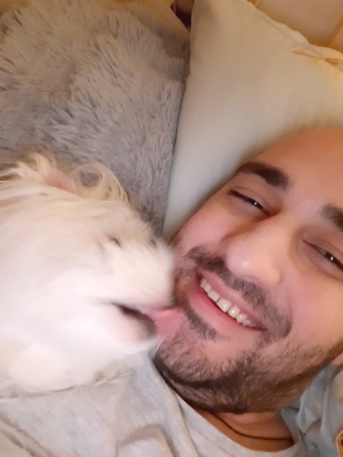 Dan- petsitter București sau Bonă pentru animale pentru câini pisici 