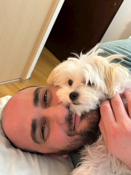 Dan- petsitter București sau Bonă pentru animale pentru câini pisici 