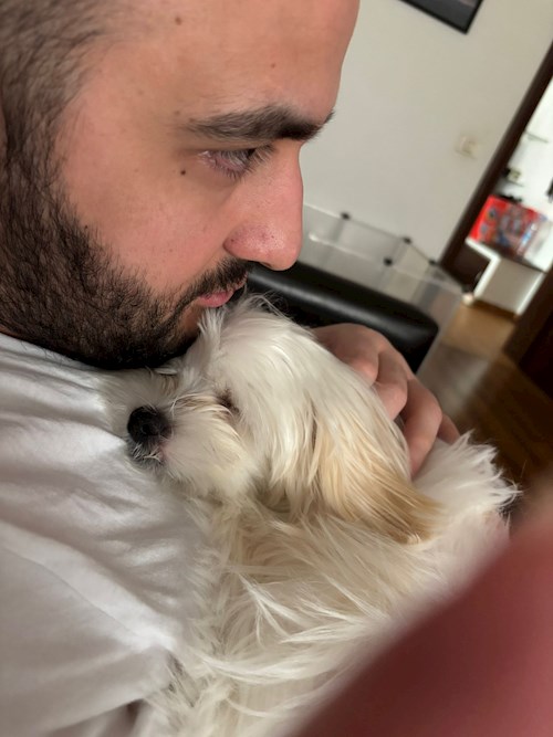 Dan- petsitter București sau Bonă pentru animale pentru câini pisici 