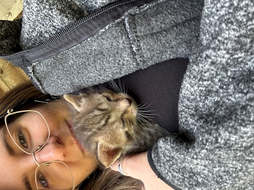 Bucatariu- petsitter București sau Bonă pentru animale pentru pisici 
