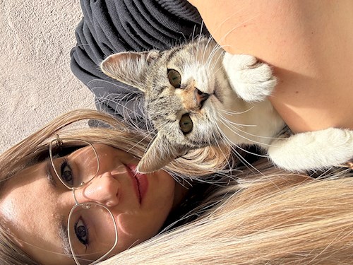 Bucatariu- petsitter București sau Bonă pentru animale pentru pisici 