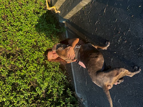 Ioana- petsitter Florești or Pet nanny for dogs cats 
