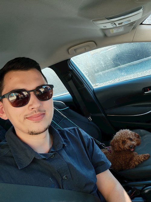 Șerban- petsitter Florești vagy Állat szitter a kutyák cicák 