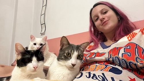 Grigor- petsitter București sau Bonă pentru animale pentru câini pisici 