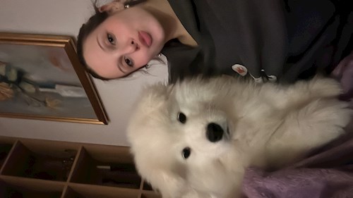 Grigor- petsitter București sau Bonă pentru animale pentru câini pisici 